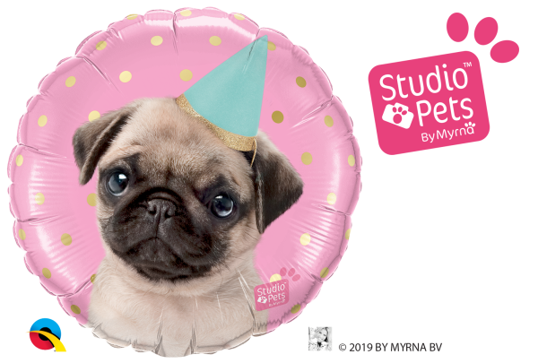 Folienballon Studio Pets - Party Pug