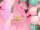 Pinata Flamingo