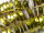 Luftschlangen gold holographic