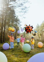 Folienballon Hummel