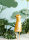 Folienballon Erdmännchen