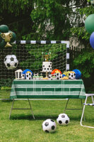 Plastiktischdecke Fußball