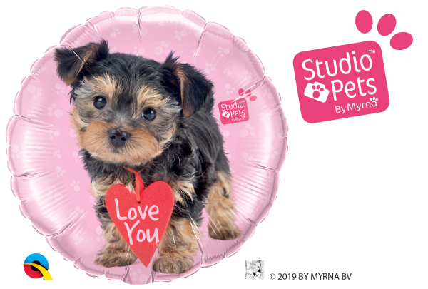 Folienballon Studio Pets - Love You Terrier